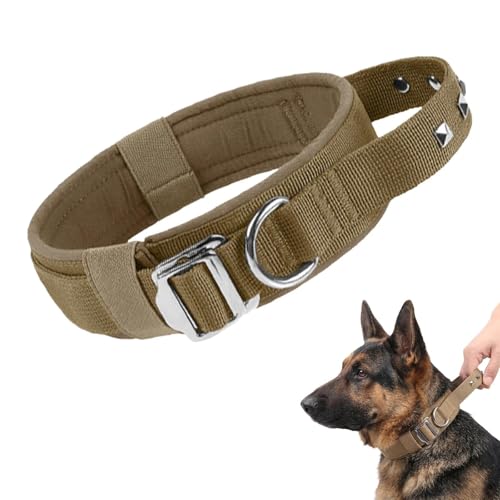 Dog Collar with Handle and Metal Buckle — Khaki · XL