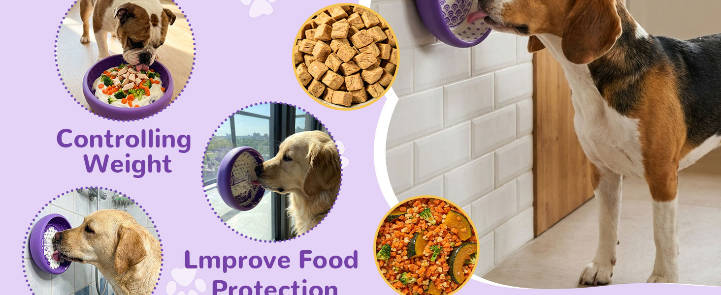 吸盘式狗狗慢食舔食碗 — Amazon A+ 4