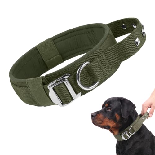 Dog Collar with Handle and Metal Buckle — Olive Green · XL